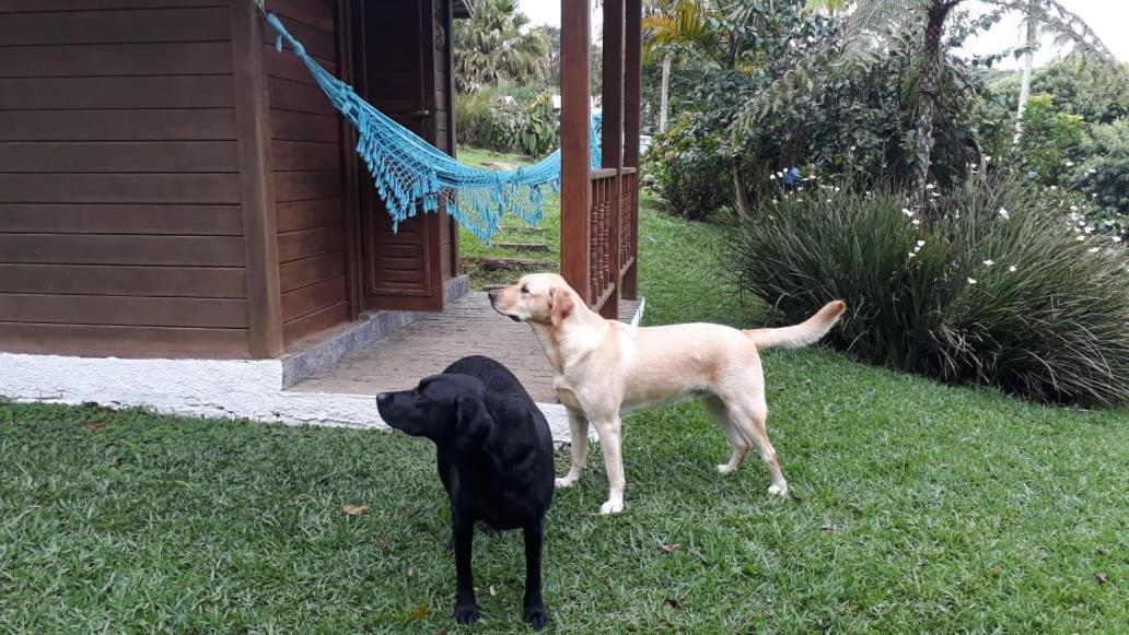 Pousada Recanto Dos Pinheiros Pilar do Sul Extérieur photo